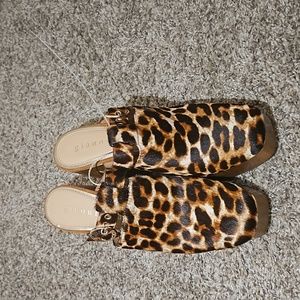 Gianni Bini sotelo leopard print.